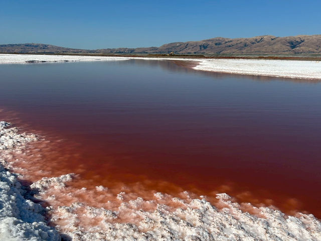 5 Must-See Spots of Bay Area in California