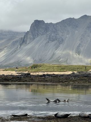 🌋 スナイフェルスネス半島 🇮🇸 — アイスランドの 1 日
