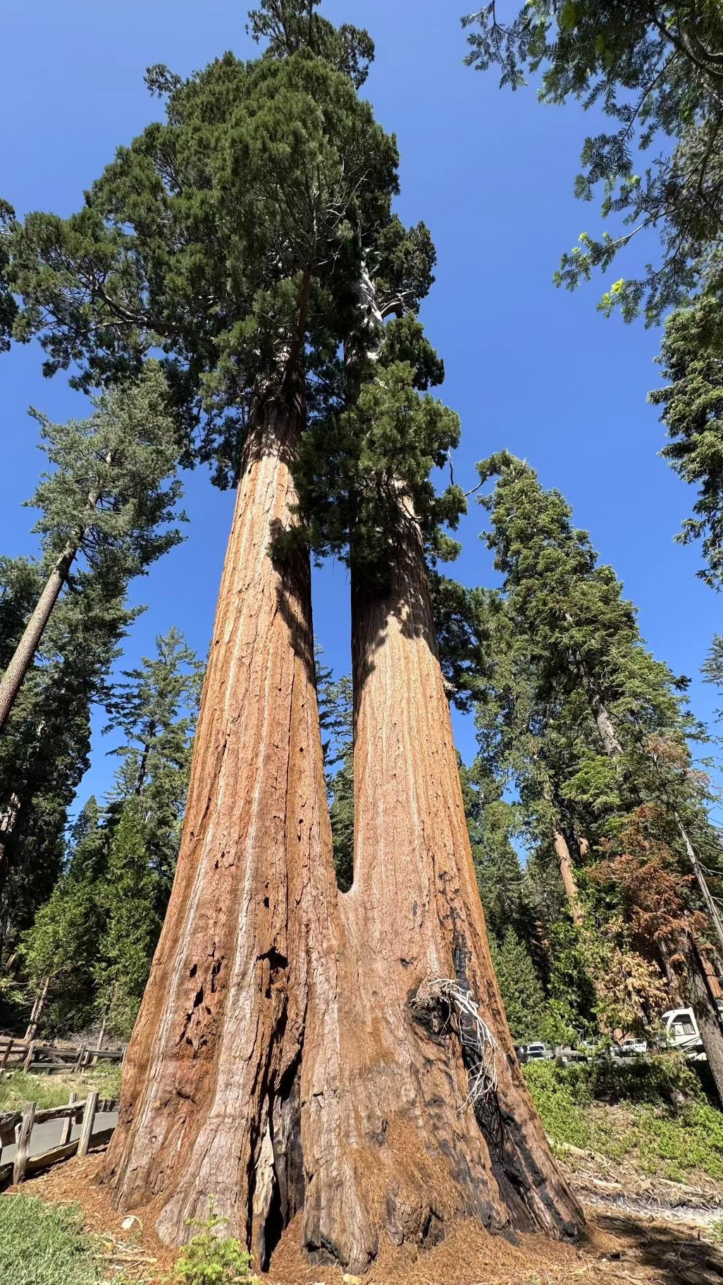 Mendaki di California: Taman Nasional Sequoia & Kings Canyon。