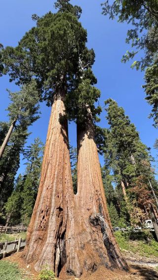 Hiking California: Sequoia & Kings Canyon National Parks.