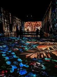 Immersive experience at les Bassins de Lumieres