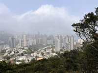 市區簡易郊遊 - 黃泥涌峽徑