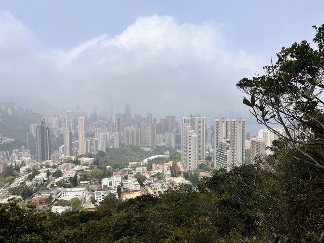 市區簡易郊遊 - 黃泥涌峽徑