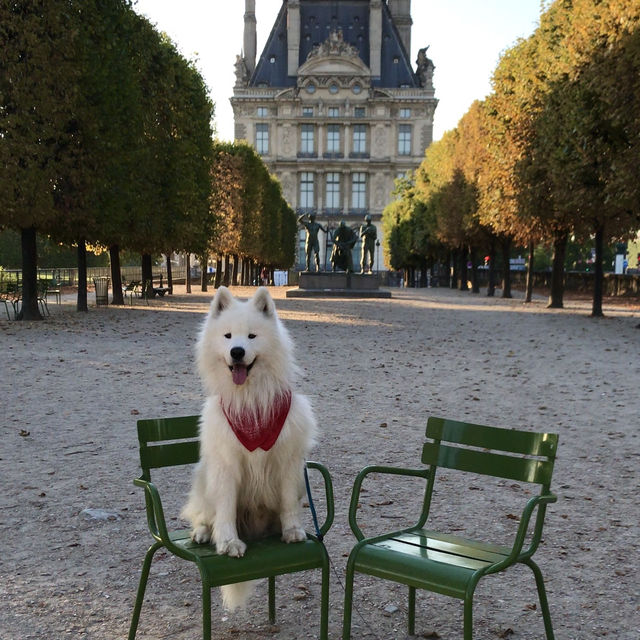 Historic Splendor close to the Louvre