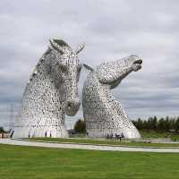 Dive into the Magical World of Kelpies
