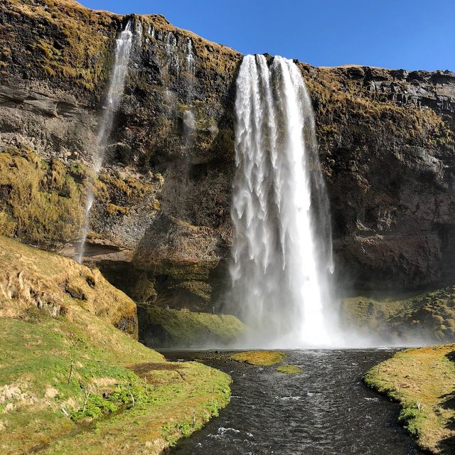 Reykjavik: Northern Charms 🇮🇸✨