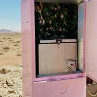 A Fridge in the middle of the desert 