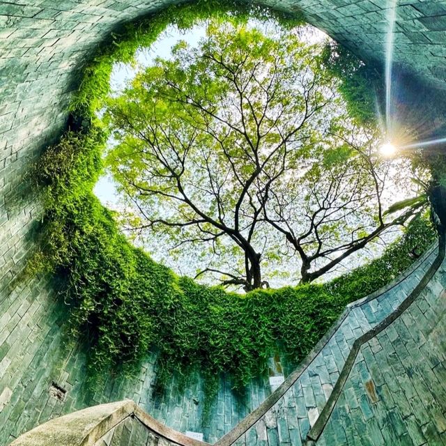 🌳《福康寧酒店Hotel Fort Canning》又是公園又是酒店，鬧市中的綠洲🌳