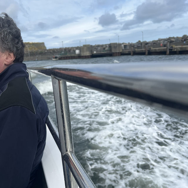 Rathlin Island Bird Sanctuary 