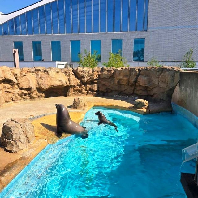 《海洋世界海之中道》🐠九州之海為主題的水族館🦈