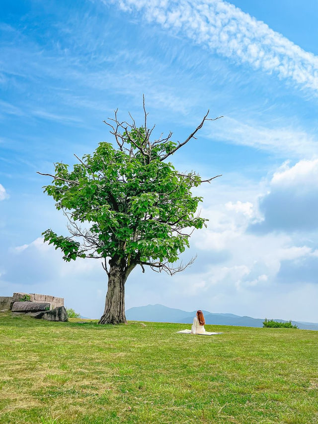 죽주산성