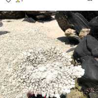冲繩古座間味海灘