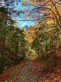 Poland changes in autumn ⛰️