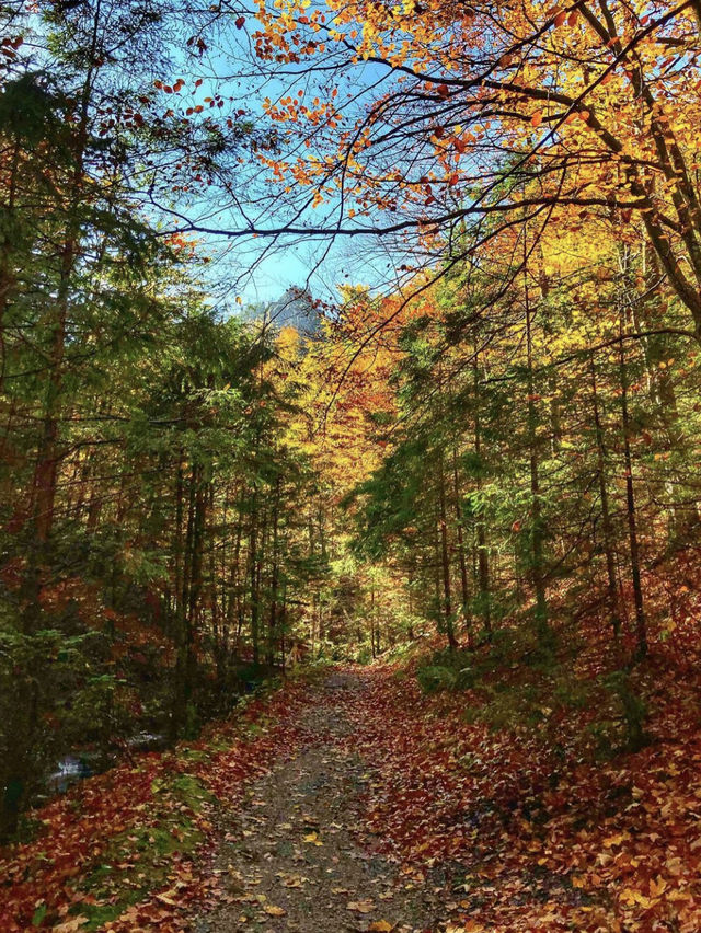 Poland changes in autumn ⛰️