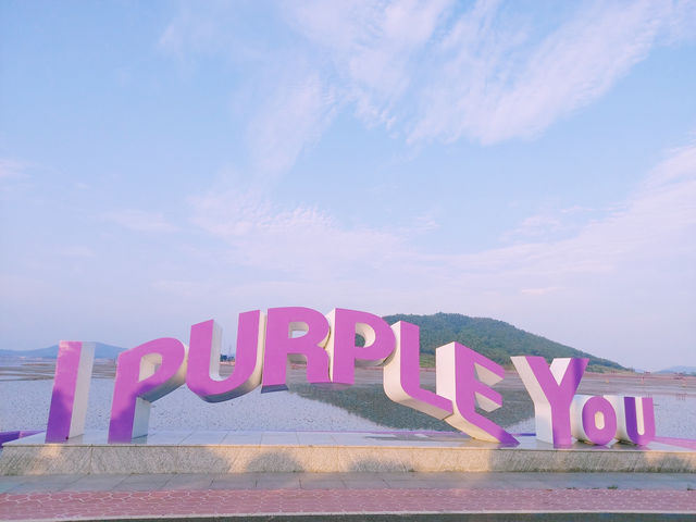 신안 퍼플교