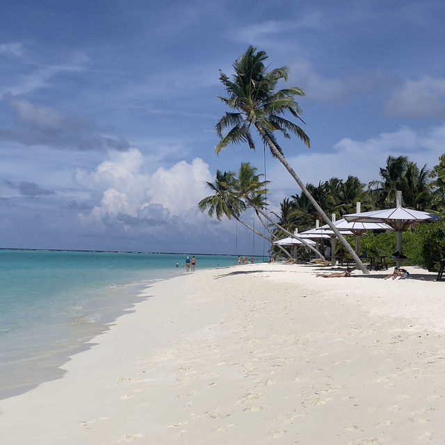 Maldives: Dream destination that won’t break the bank!
