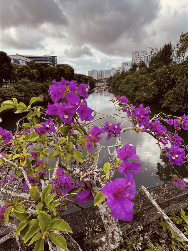 Singapore is my second home 🏠 