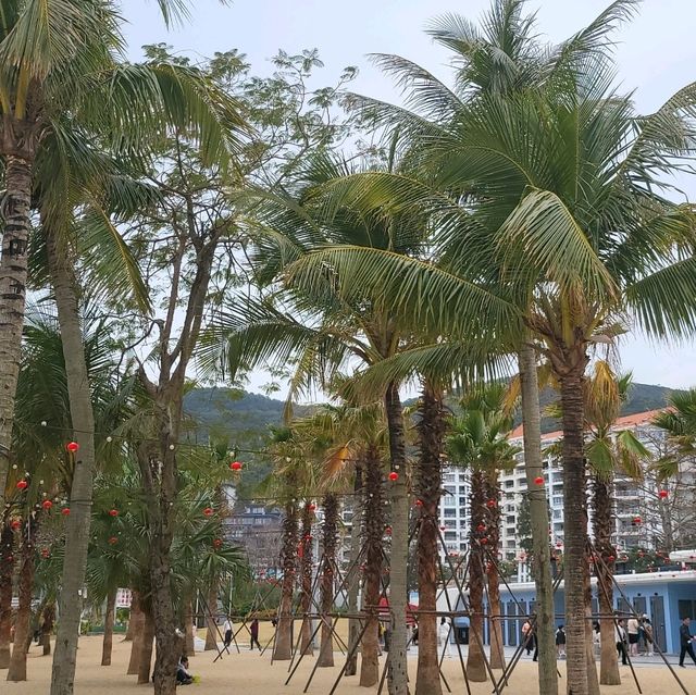 🌴🌊 Escape to Paradise at Dameisha Beach, Shenzhen! 🇨🇳
