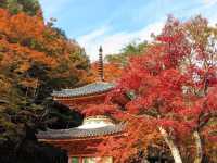 An ancient temple with a beautiful vermilion-painted Taho Pagoda and the a