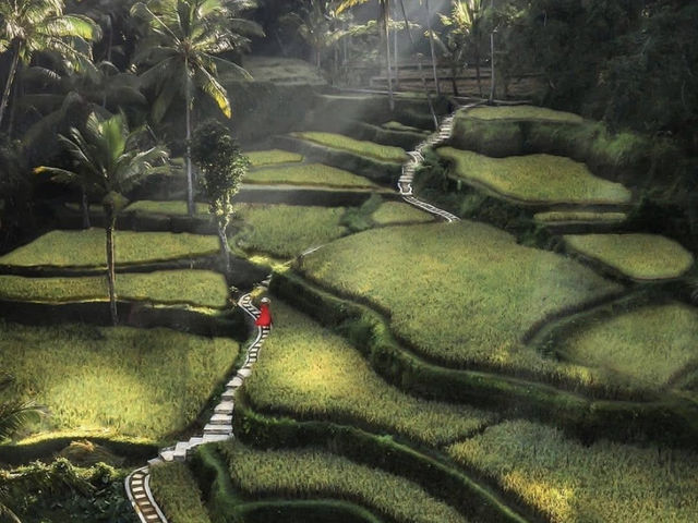 Jatiluwih - Tabanan