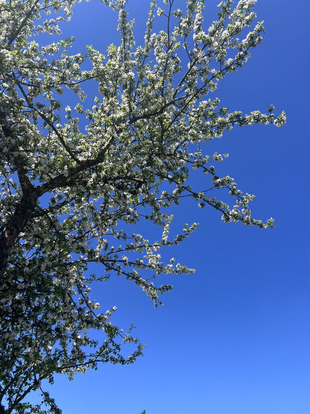 **Egglsee in Ebersberg：湖光森林裡的隱藏版療癒時光**  