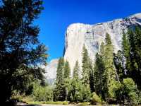 🥾 Top Hiking Trails in Yosemite National Park 🌄