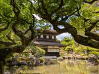The Best 3 Days in Kyoto