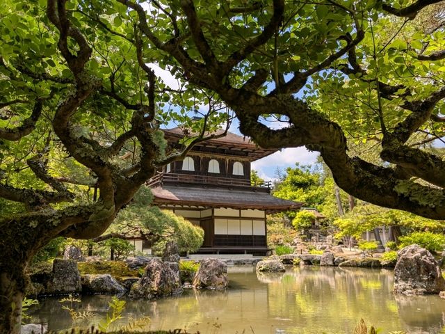 The Best 3 Days in Kyoto