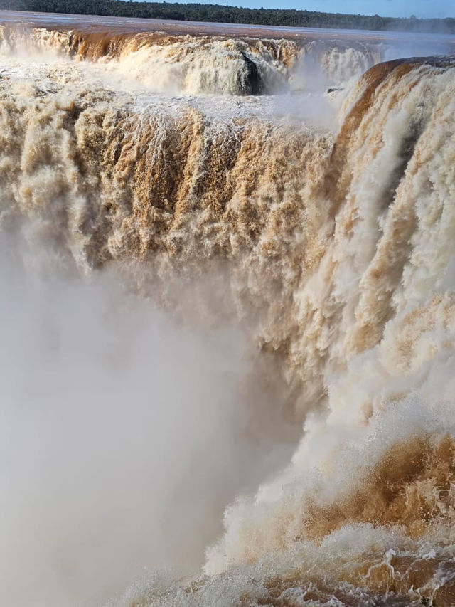Nature’s Roar Echoes