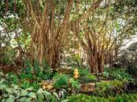 Discover Chiang Rai: Thailand’s Northern Gem of Art, Culture & Tranquility
