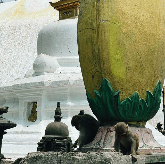 Mystic Views & Monkey Business: Your Guide to Swayambhunath (Monkey Temple)