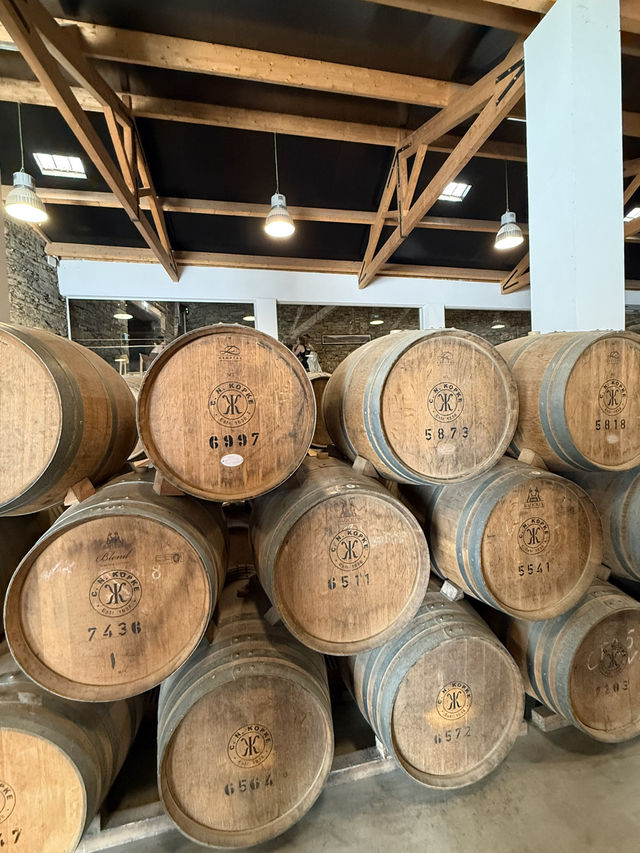 🍇Stunning Port Wine Tasting Trip to Douro Valley🍷 🍇Stunning Port Wine Tasting Trip to Douro Valley🍷