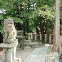 From Tokyo to Nagoya: A Day Trip Beyond the Capital