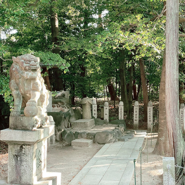 From Tokyo to Nagoya: A Day Trip Beyond the Capital