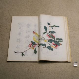🎨安徽省博物館：新安畫派展