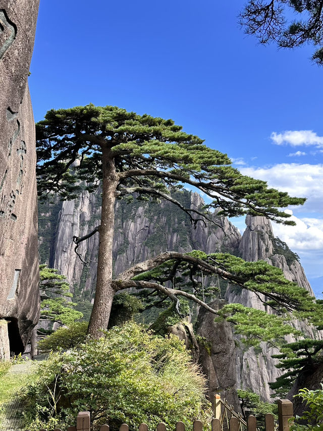 Mountain View of huangshan