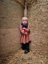 The Barn at Newmill, Dolphinton – A Fun, Farm-Filled Family Day Out