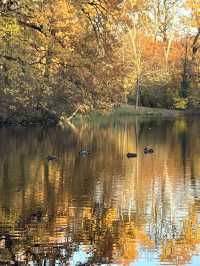 Beautiful Park & Local Food in Berlin🧡🇩🇪