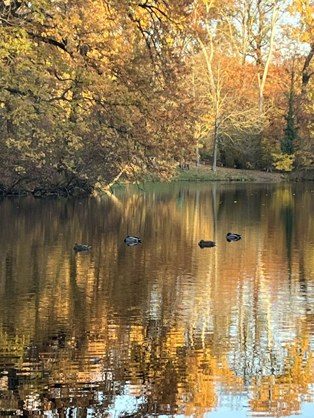 Beautiful Park & Local Food in Berlin🧡🇩🇪