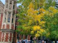 Tapas Under Palms🍽️