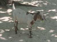 Пляж Лоо Му Ди на Пхи‑Пхи: дикая красота без толп туристов