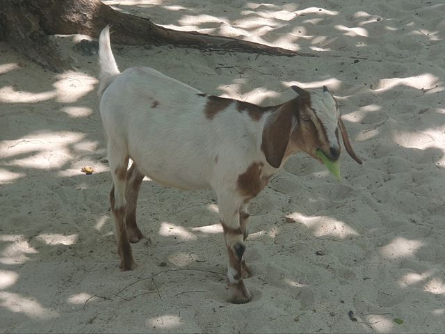 Пляж Лоо Му Ди на Пхи‑Пхи: дикая красота без толп туристов Пляж Лоо Му Ди на Пхи‑Пхи: дикая красота без толп туристов