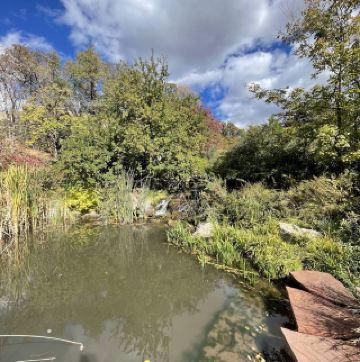 紅山櫻花園與植物園