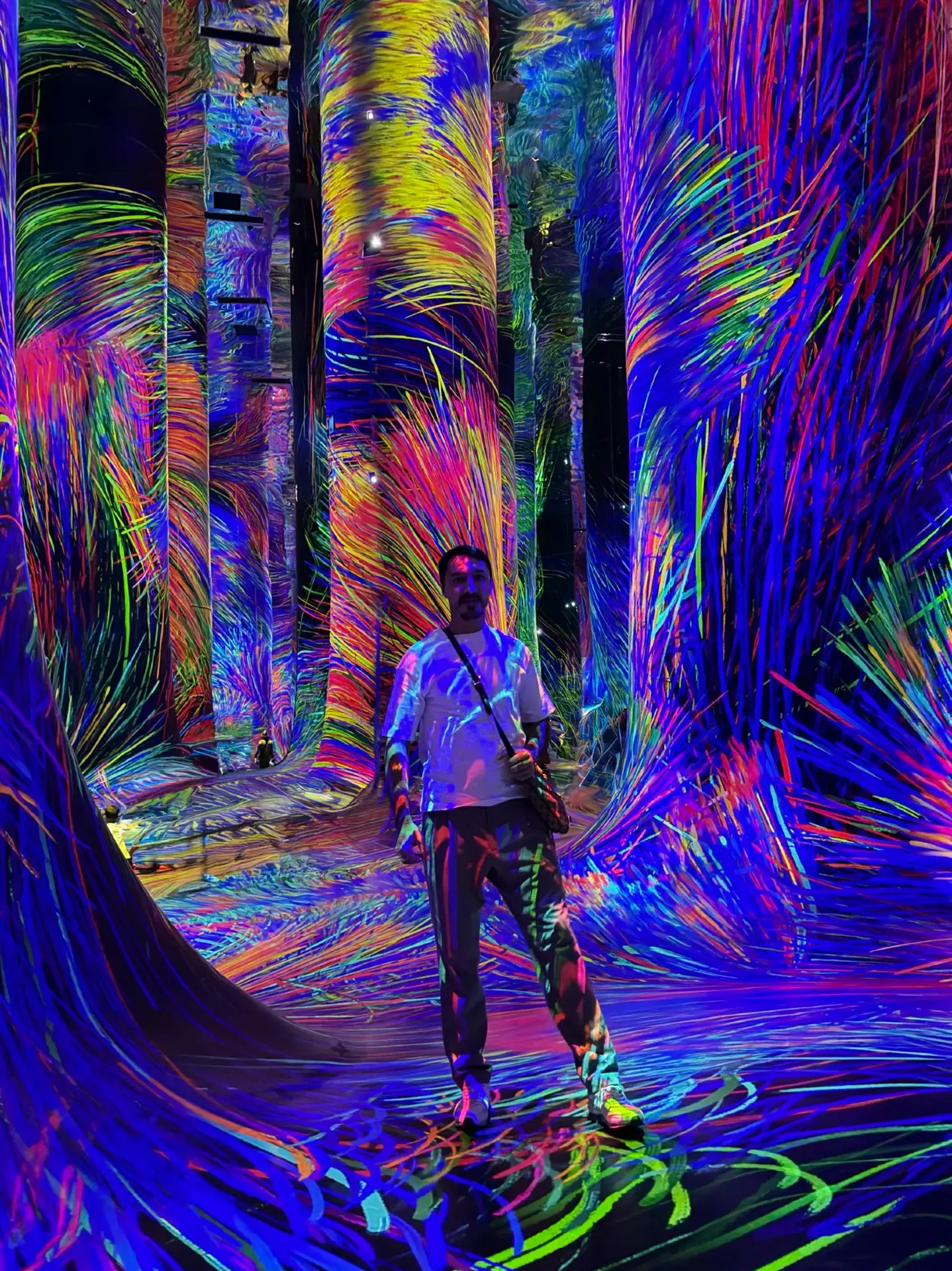 How to visit teamLab and skip the lines? Not ea.