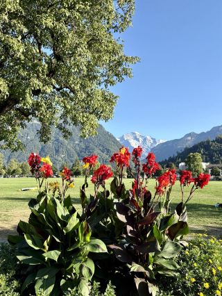  Finding Zen and Adventure in Interlaken 🇨🇭🌸🪂