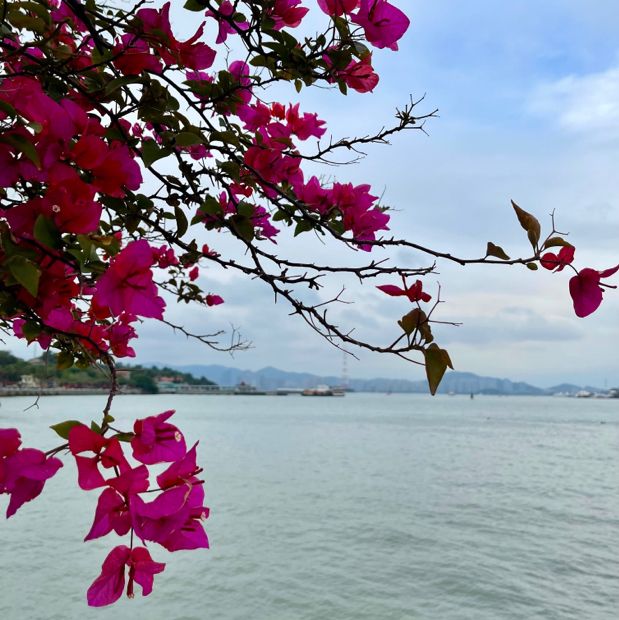 Gulangyu Island, Xiamen