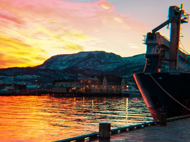 Hug a Walrus in Narvik 