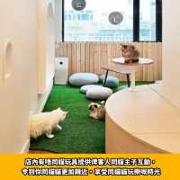 旺角人氣貓cafe🐱貓啡cafe