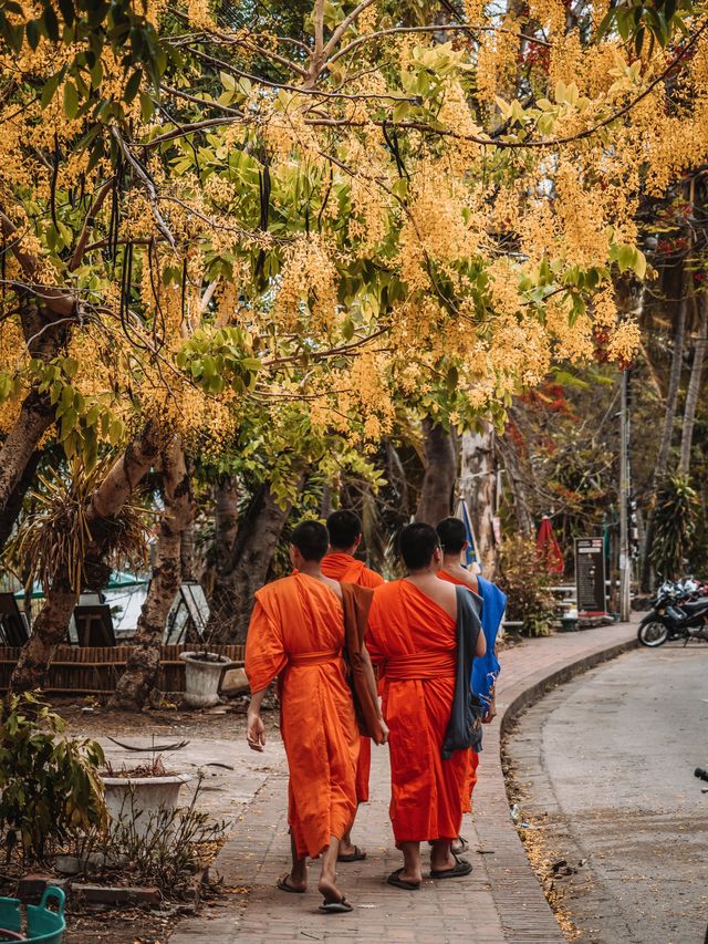 一篇帶你琅勃拉邦玩透透🛺
