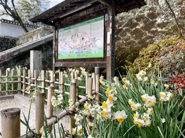 Japan's Izu Shuzenji, a less popular ancient hot spring resort.